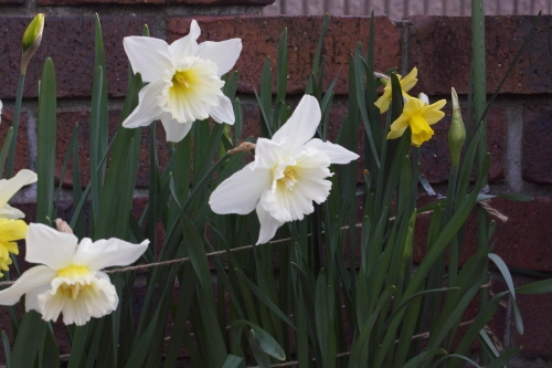 20160414002.JPG