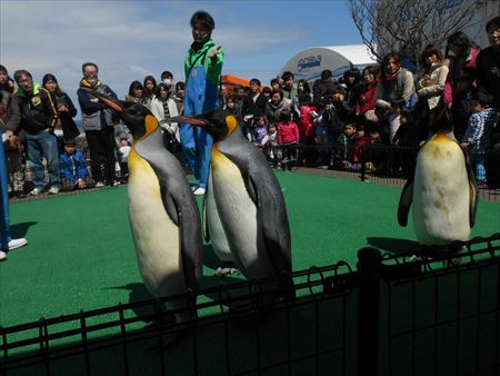 越前松島水族館