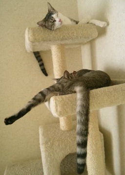 20120629_2.jpg