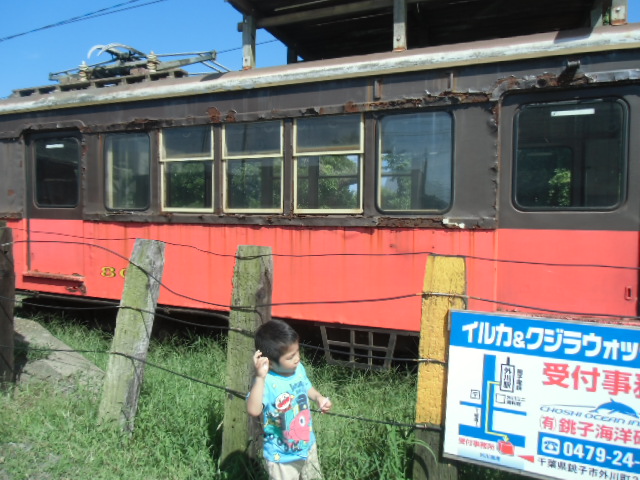 CIMG0952.JPG
