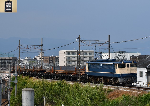 DSC_2567.JPG