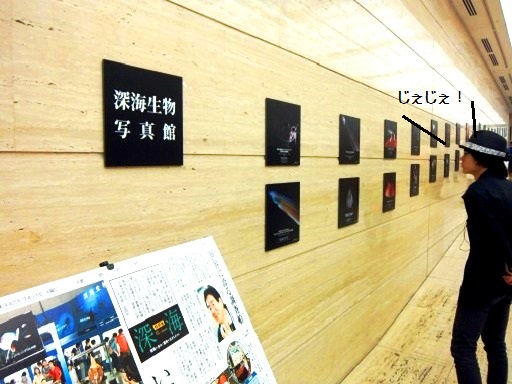 深海生物写真館.jpg