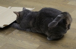 5DA_5151-5.jpg