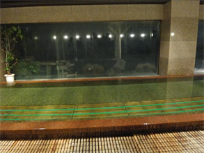 新潟354.jpg