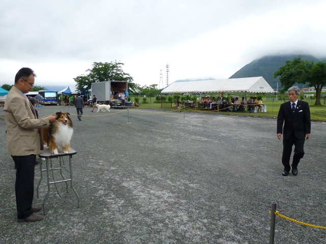 P1010375 - コピー.JPG