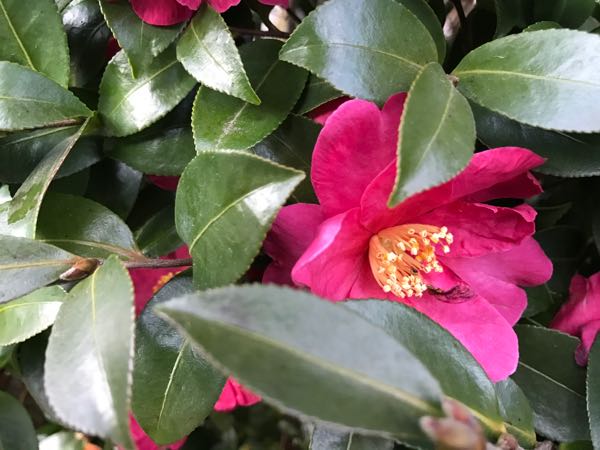 rblog-20170223222019-09.jpg