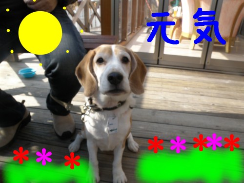 元気.JPG