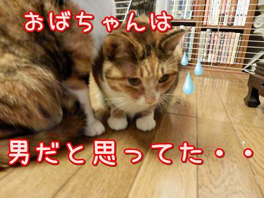 思ってた.JPG
