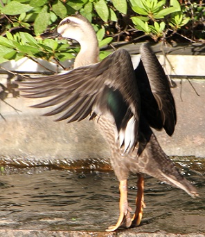 E7D_7126-2.jpg