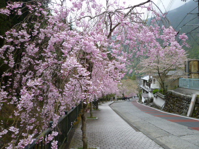 P1090749下り坂.JPG