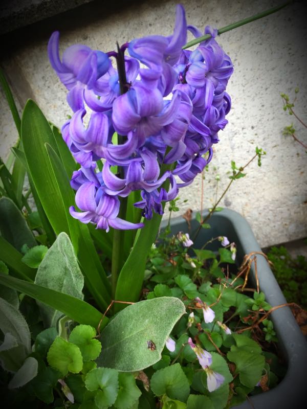rblog-20160330184054-03.jpg