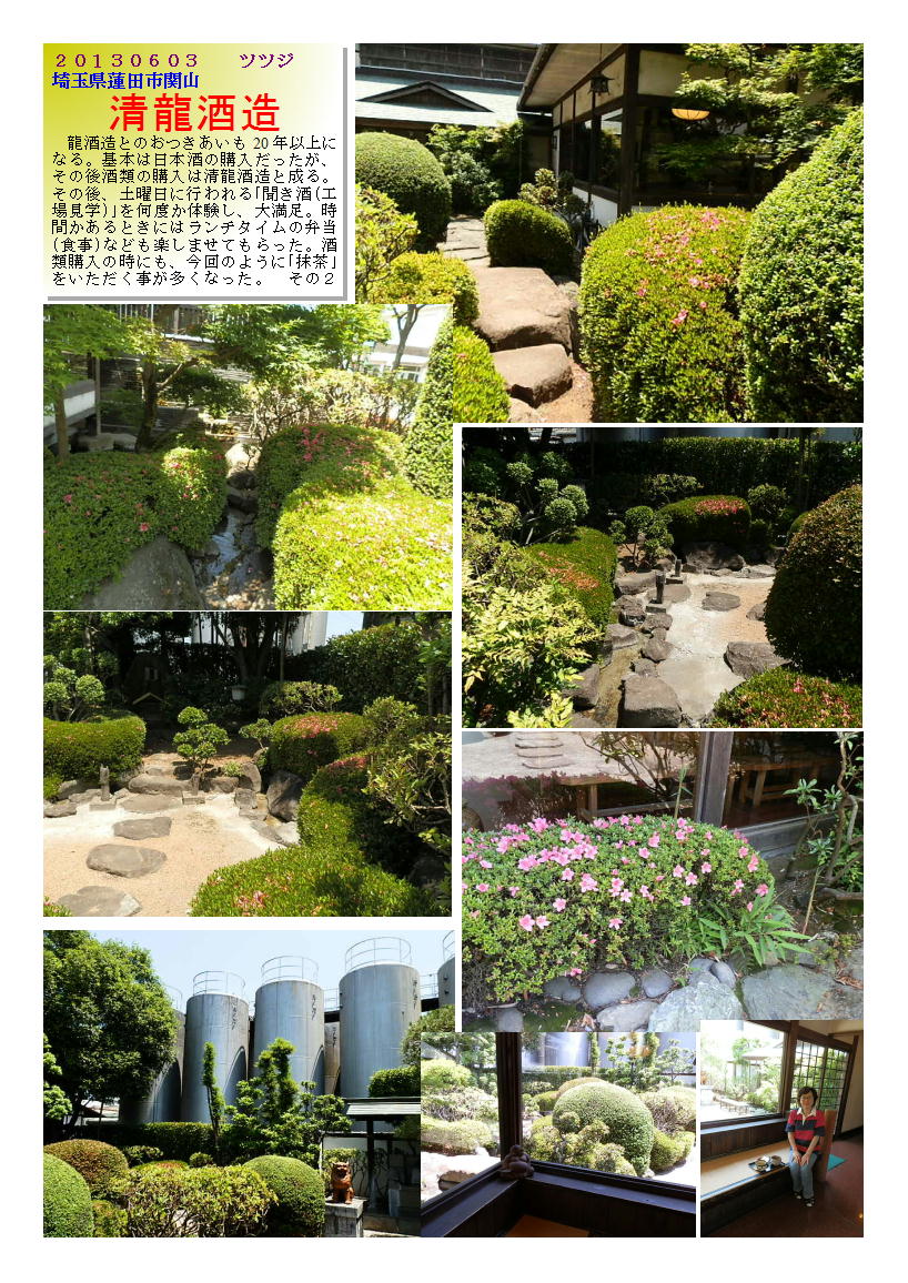 20130603sriryuusyuzou2-tutuzi.jpg