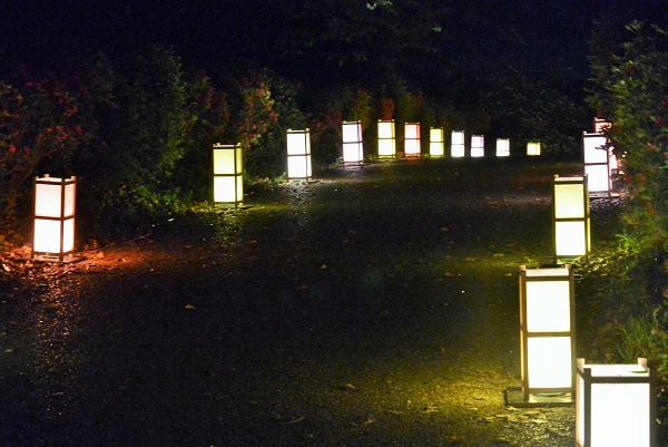 小室山公園 伊豆高原パルテール撮影