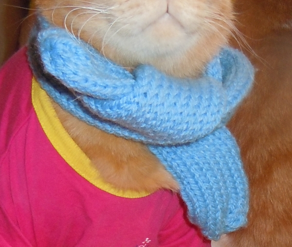 DSCN3142 (600x506).jpg