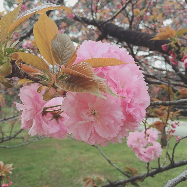 rblog-20160410102840-03.jpg