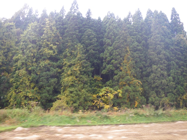 景色2