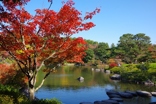 日本庭園にて