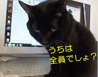 20121010_5.jpg