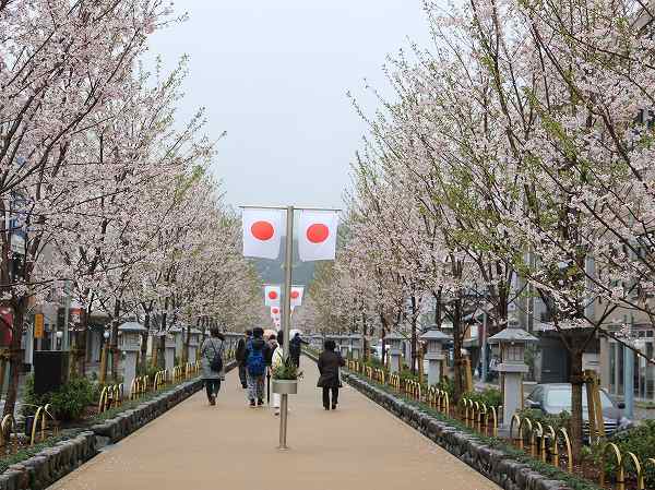 若宮大路