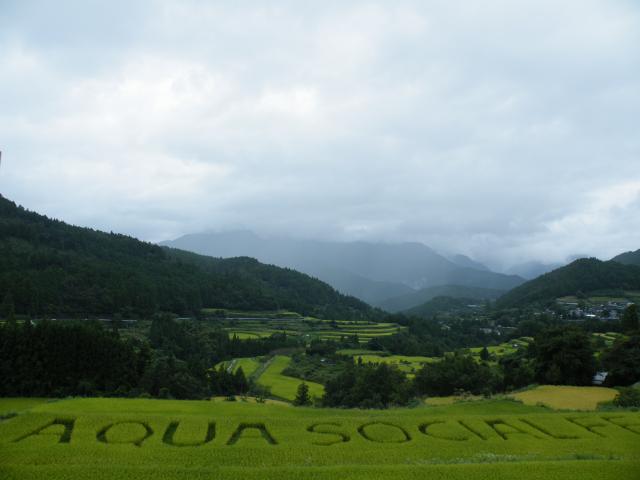 四国真ん中辺2016 (11).JPG