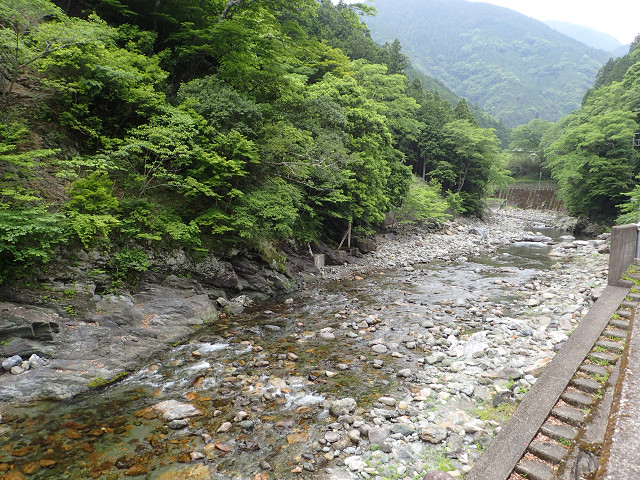 resize0003.jpg