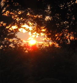 IMG_9706.JPG