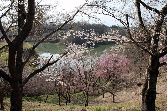 150419_22.jpg