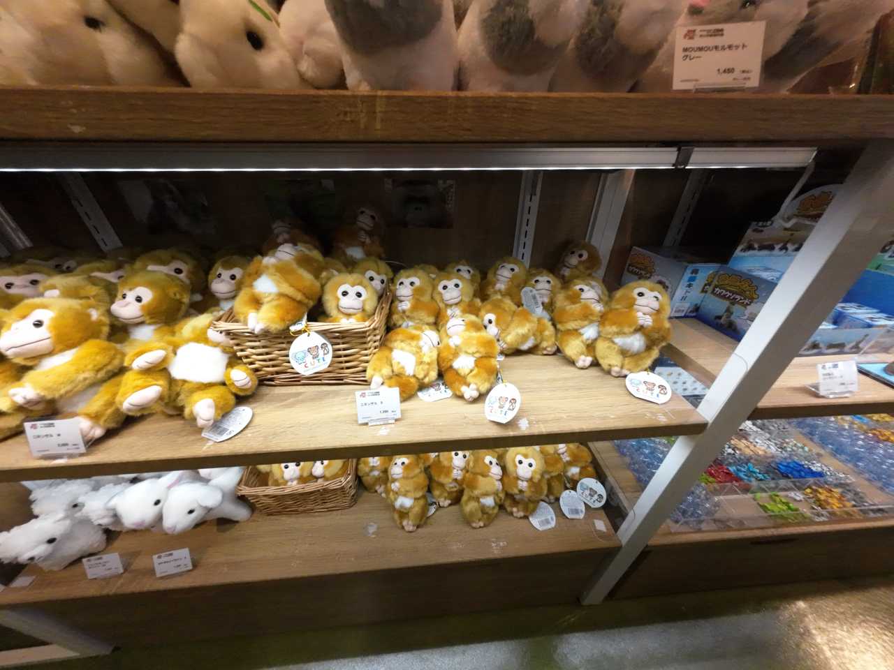市川市動植物園 お土産はサルのぬいぐるみ1350円 | イルカカメラと
