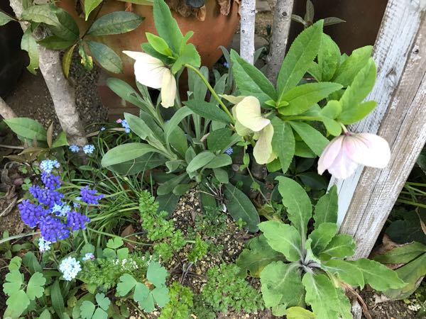 rblog-20180408181115-09.jpg