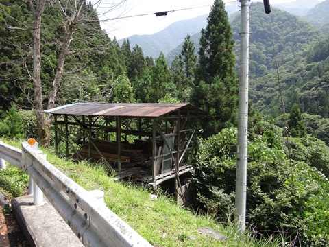 DSC01979.JPG