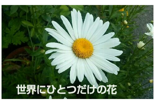 rblog-20160528200513-00.jpg
