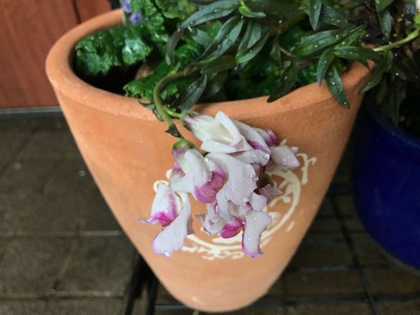 rblog-20180429183115-02.jpg