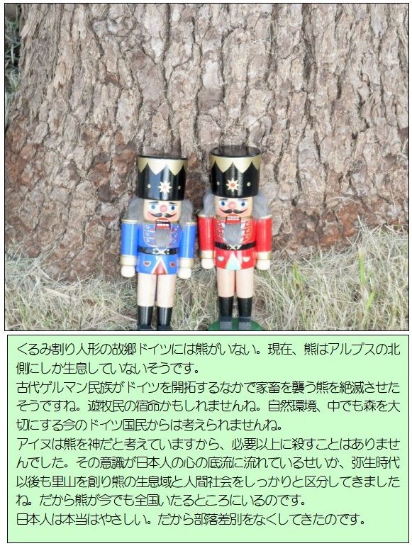 くるみ割り人形の故郷ドイツには熊がいない。現在、熊はアルプスの北側にしか生息していないそうです。<br />古代ゲルマン民族がドイツを開拓するなかで家畜を襲う熊を絶滅させたそうですね。遊牧民の宿命かもしれませんね。自然環境、中でも森を大切にする今のドイツ国民からは考えられませんね。<br />アイヌは熊を神だと考えていますから、必要以上に殺すことはありませんでした。その意識が日本人の心の底流に流れているせいか、弥生時代以後も里山を創り熊の生息域と人間社会をしっかりと区分してきましたね。だから熊が今でも全国いたるところにいるのです。<br />日本人は本当はやさしい。だから部落差別をなくしてきたのです。