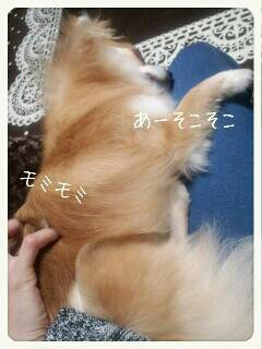 img20130426_003154.jpg