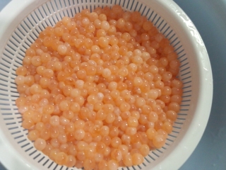 FJ310426 - コピー.JPG