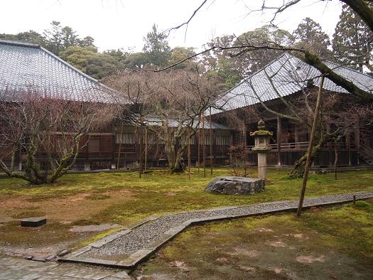 P1011113 - コピー.JPG