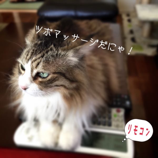 rblog-20150202132726-01.jpg