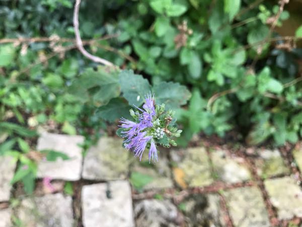 rblog-20180928162019-09.jpg