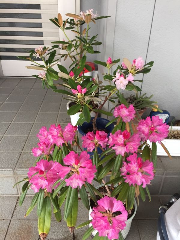rblog-20170504002659-03.jpg