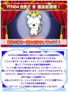 YPN84総選挙
