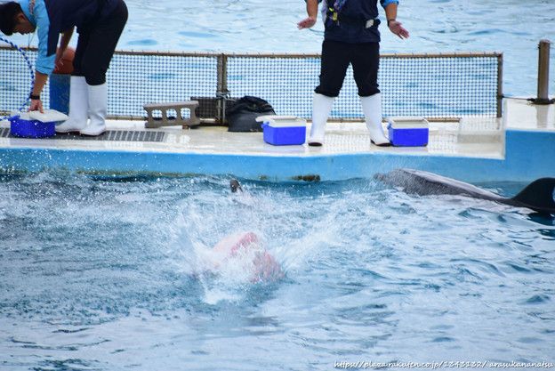 結局のところ、モナリザは笑っていますか?それは科学によって保証されています。