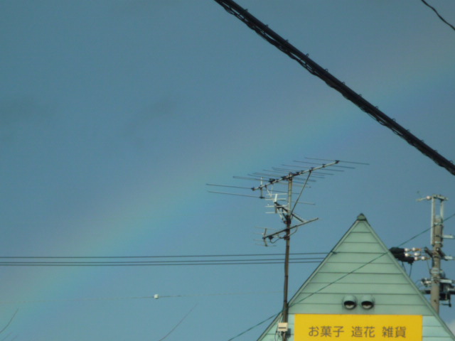 P1000072.JPG