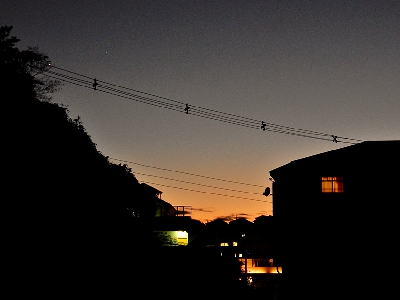夕暮れ3.JPG