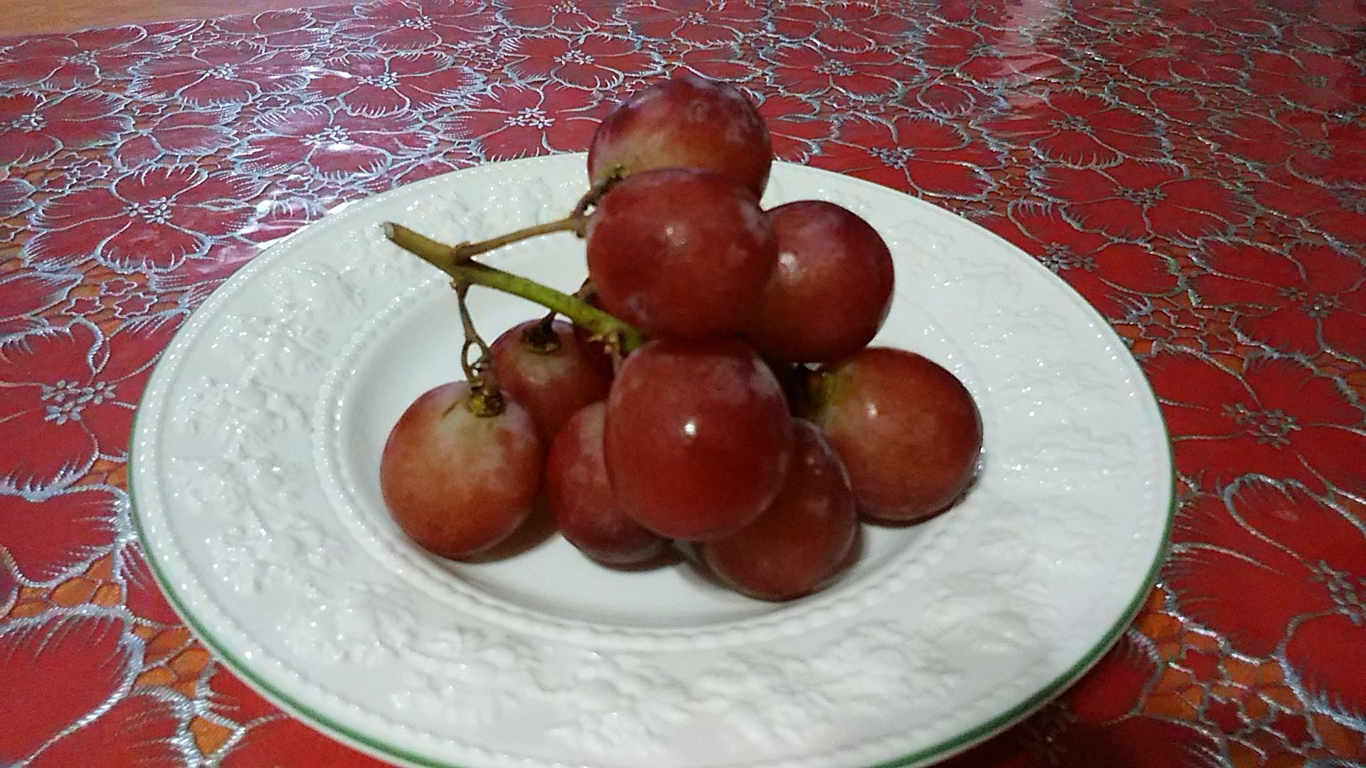 レッドグローブ を描いたよ パフとレモン トゥリー さりぃちゃん On 釣三丸 楽天ブログ