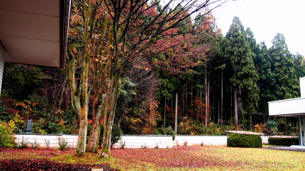 大山市立図書館　2　11.21　2015　ｐ