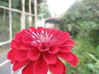 IMG_9743.JPG