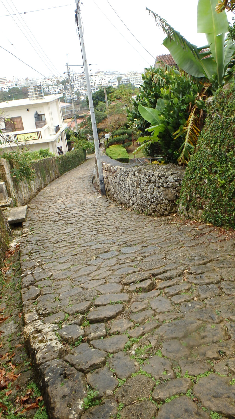 141122石畳１.jpg