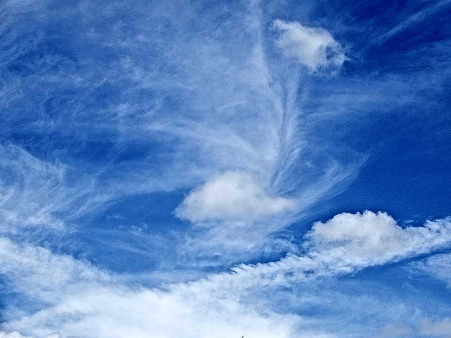 空9