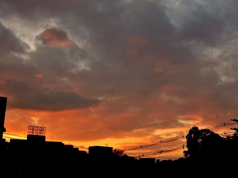 夕暮れ 3.JPG