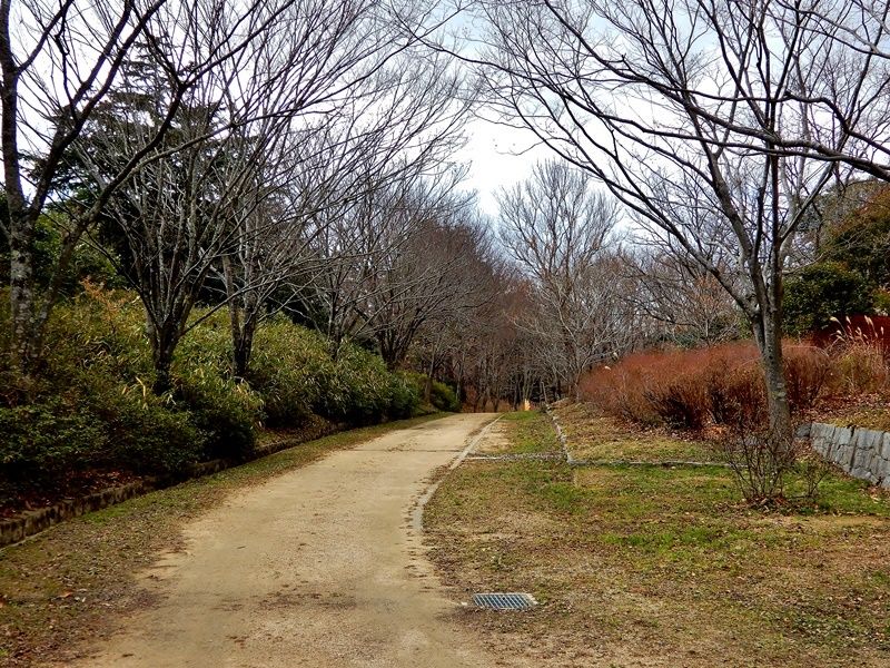 外周路6
